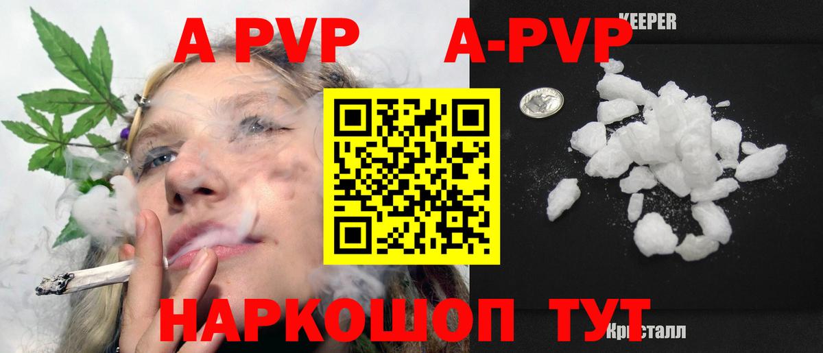 Alfa_PVP СК Саранск