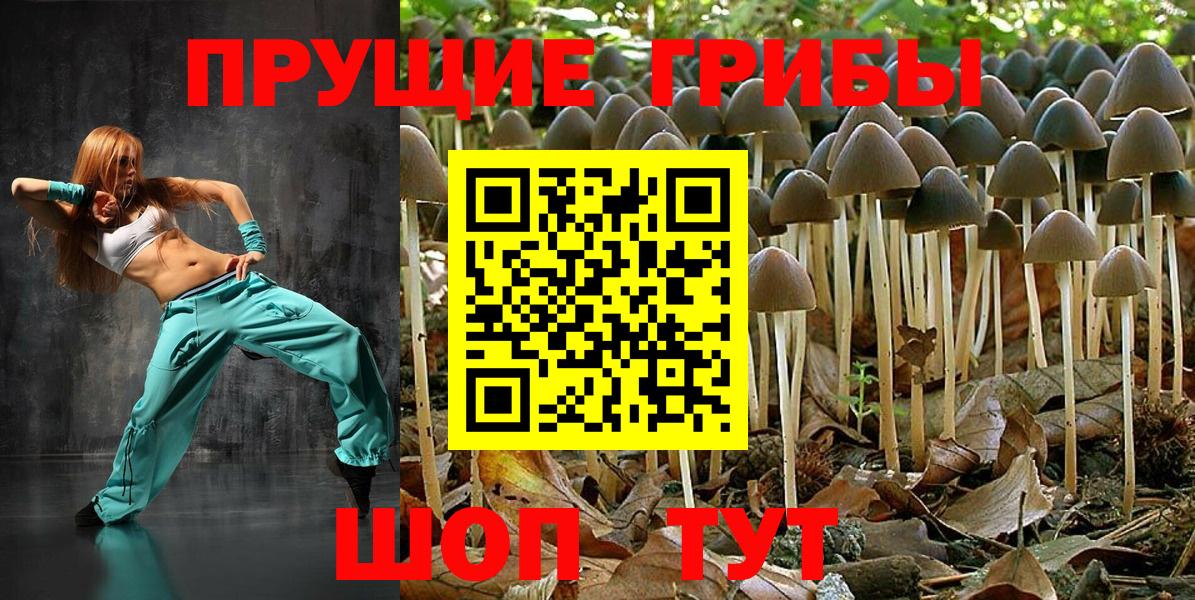 Галлюциногенные грибы Psilocybe Саранск