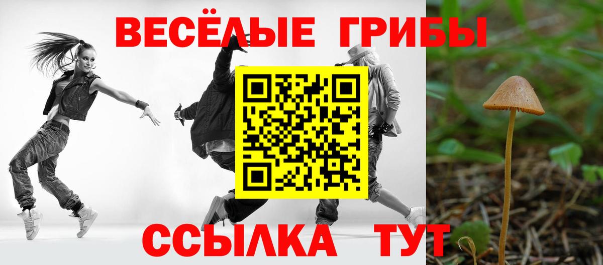 Галлюциногенные грибы Psilocybine cubensis  Псилоцибиновые грибы Psilocybine cubensis  Вход с VPN  Саранск 